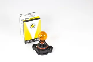 Flosser Light Bulb - N-107-331-01