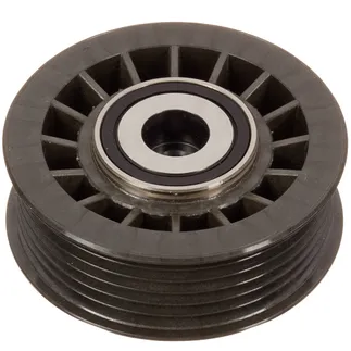 INA Accessory Drive Belt Idler Assembly - 6012000770