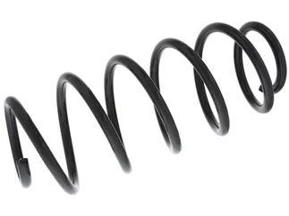 Lesjofors Front Coil Spring - 31304154