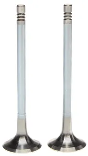 Mahle Engine Exhaust Valve - 06D109611L