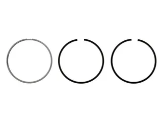 Mahle Engine Piston Ring Set - PCG50399N0