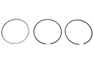 Mahle Engine Piston Ring Set - 93010398600