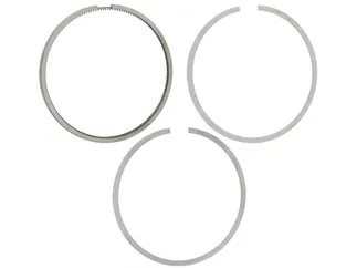 Mahle Engine Piston Ring Set - 93010395900