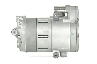 Mahle Behr A/C Compressor - 64529496107