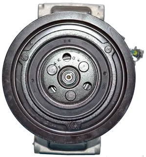 Mahle Behr A/C Compressor - 36010255