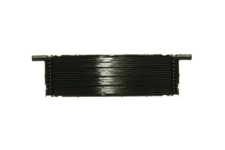 Mahle Behr Radiator - 99110613802