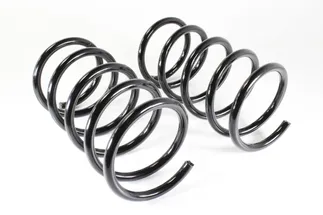 Mubea Rear Coil Spring - 30748383