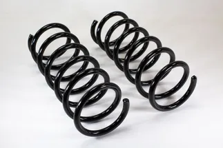 Mubea Rear Coil Spring - 31300138