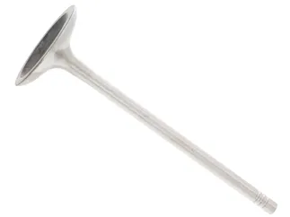 TRW Intake Valve - 11347553771