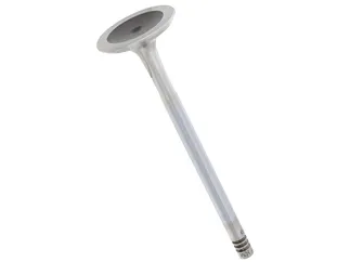 TRW Exhaust Valve - 11347503738