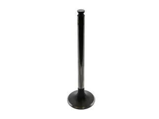 TRW Exhaust Valve - 1110501227