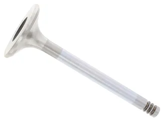TRW Exhaust Valve - 11341251063