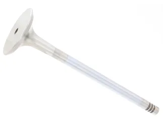 TRW Exhaust Valve - 11341739823