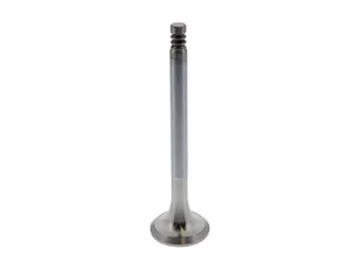 TRW Exhaust Valve - 022109612D