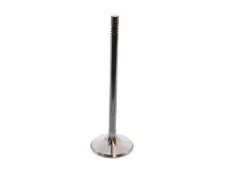 TRW Exhaust Valve - 99610527304