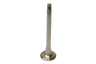 TRW Exhaust Valve - 025109612A