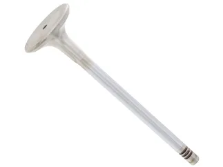 TRW Exhaust Valve - 2760500027