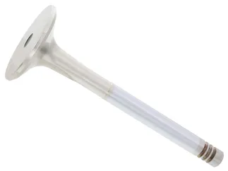 TRW Exhaust Valve - 92810541004