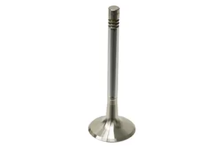 TRW Exhaust Valve - 91110541550
