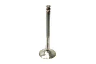 TRW Exhaust Valve - 028109611G
