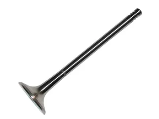 TRW Exhaust Valve - 058109611M