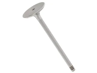 TRW Intake Valve - 11341739822