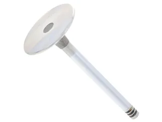 TRW Intake Valve - 11341254625