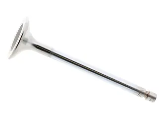 TRW Intake Valve - 2710530001