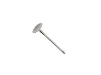 TRW Intake Valve - 06E109601E