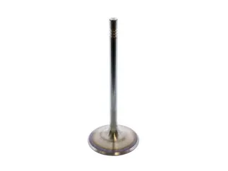 TRW Intake Valve - 99610527102