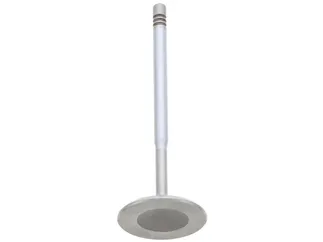 TRW Intake Valve - 2780500126