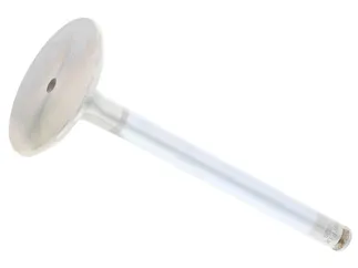 TRW Intake Valve - 1160500126