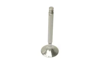 TRW Intake Valve - 61610540200