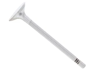 TRW Intake Valve - 03L109601