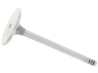 TRW Intake Valve - 11341267721