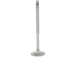 TRW Intake Valve - 058109601C
