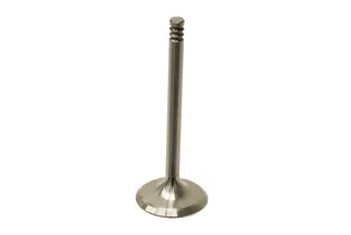TRW Intake Valve - 028109601D