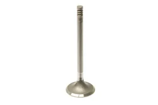 TRW Intake Valve - 025109601C