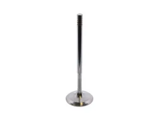 TRW Intake Valve - 2710531001