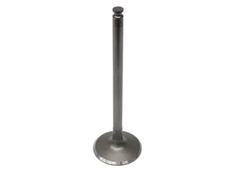 TRW Intake Valve - 1130530601