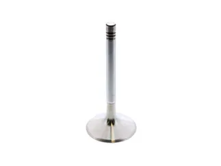 TRW Intake Valve - 96410540908