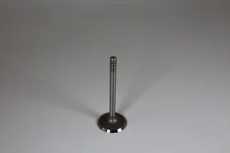 TRW Engine Intake Valve - 038109601E