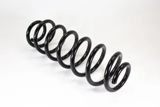 TRW Rear Coil Spring - 1K0511115BF