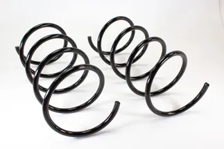 TRW Front Coil Spring - 2033214904