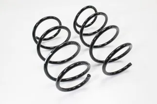 TRW Front Coil Spring - 31336761215