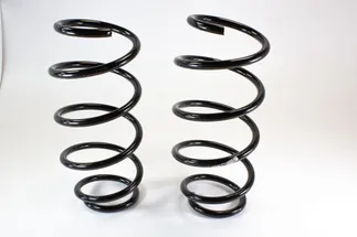 TRW Front Coil Spring - 32016015