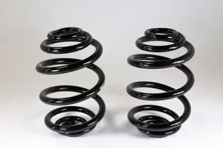 TRW Rear Coil Spring - 33539070126