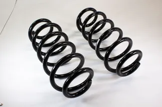 TRW Front Coil Spring - 8D0411105DS