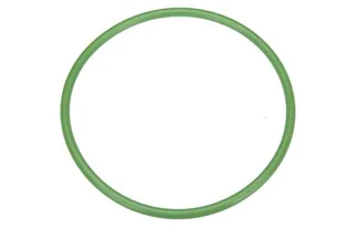 URO Seal / Fuel Pump or Pressure Regulator - 0259971845