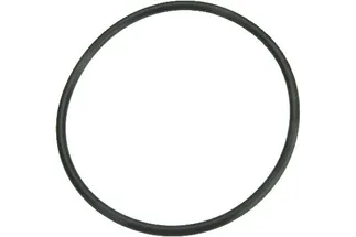 URO Right Fuel Pump O-Ring - 16117188567